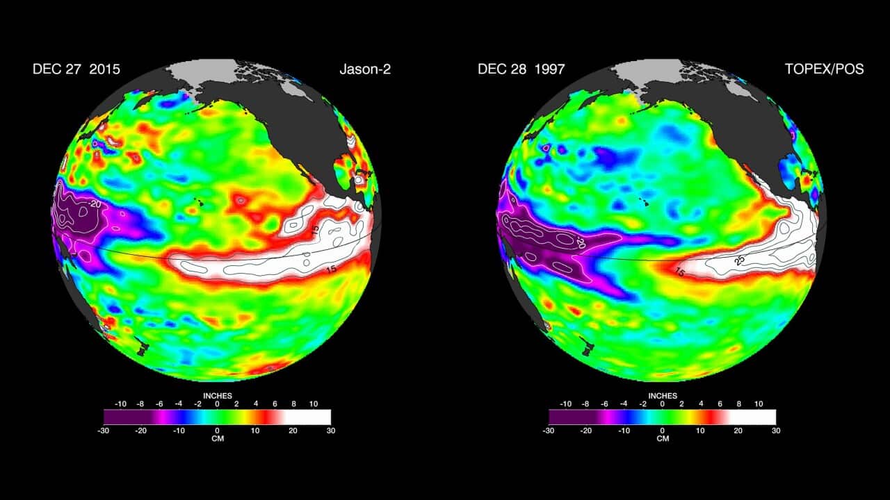 Images provided by NASA satellites compare warm Pacific Ocean water temperatures from the strong El Nino in 1997 (right) and the current El Nino as of Dec. 27, 2015 (left). (NASA via AP)