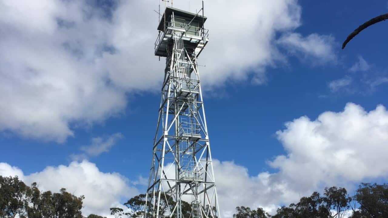 Image of fire tower