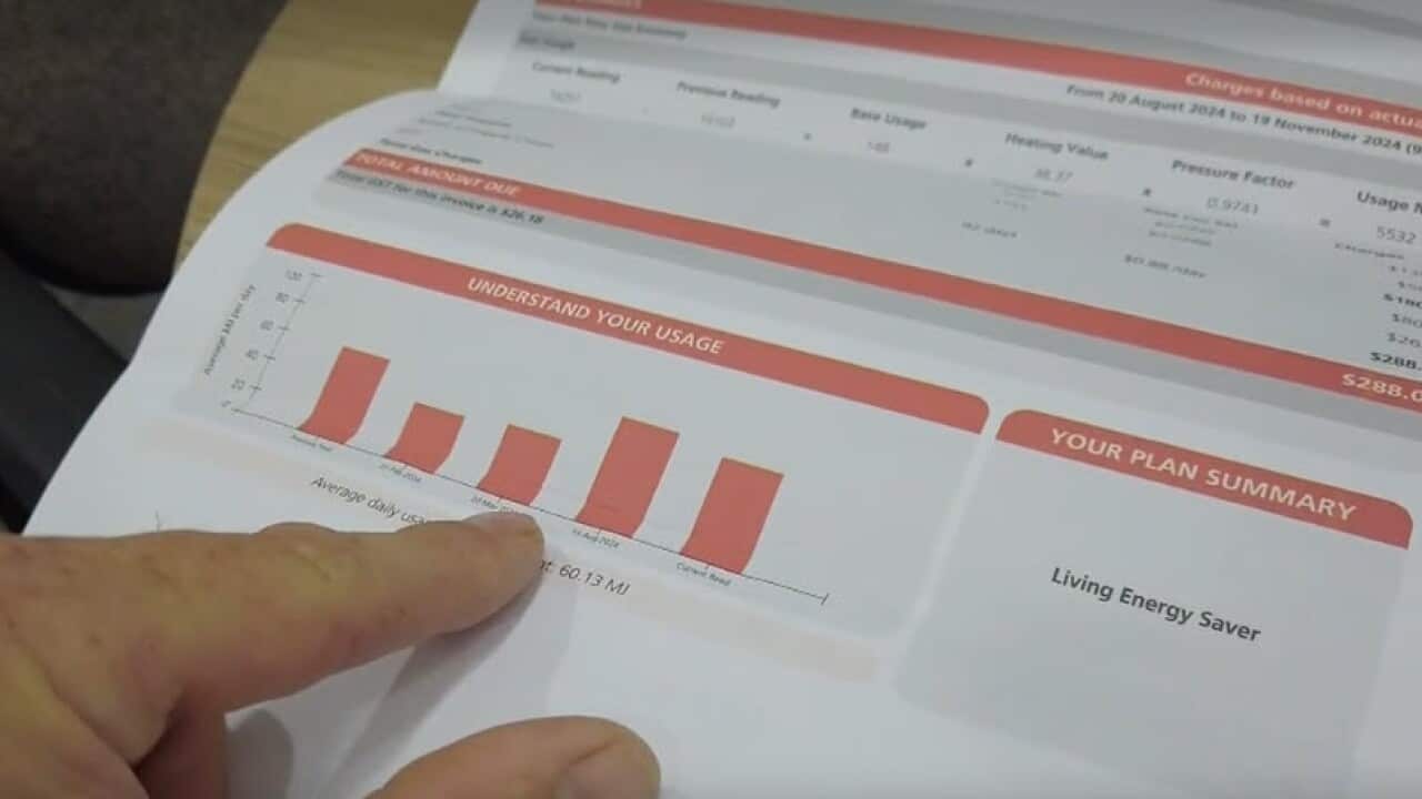 One in every five Australian residents is struggling to pay their power bills, according to the Energy Consumer Australia report.