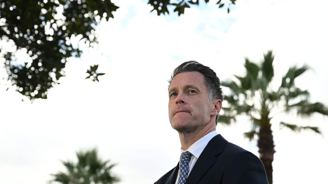 UFC 293 ANNOUNCEMENT SYDNEY