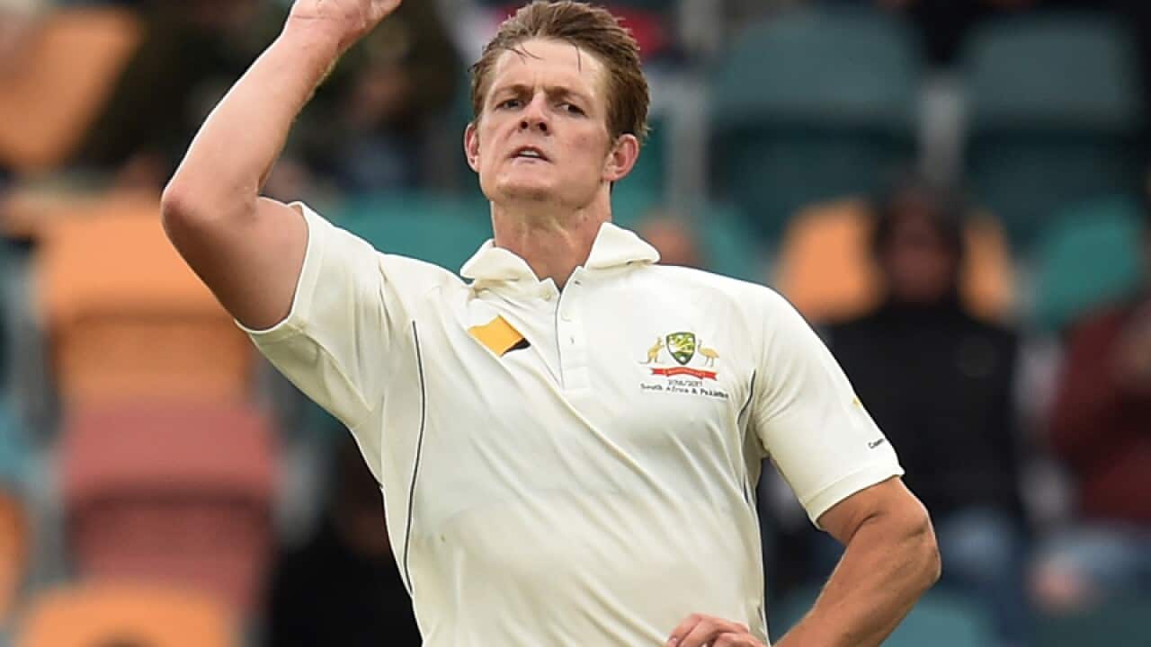 Sydney Sixers bowler Joe Mennie