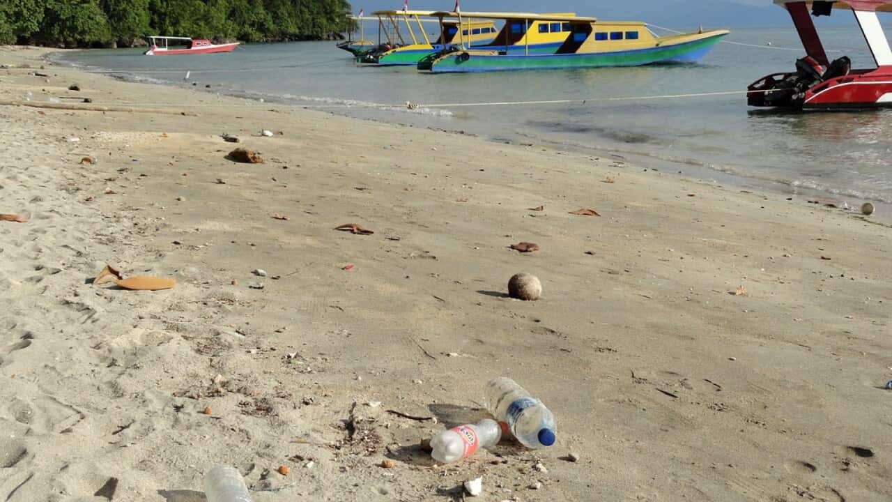 Waste on the North Sulawesi coast.