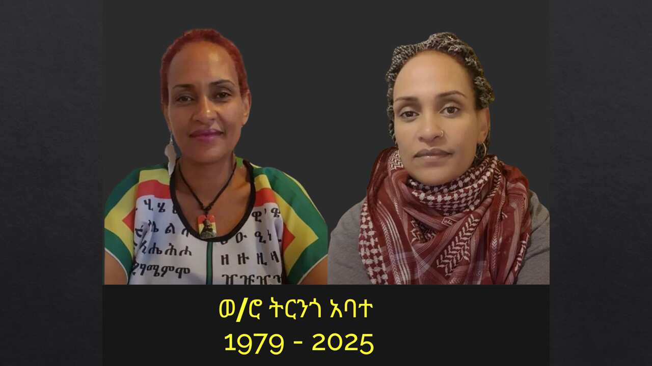 Mrs Tiringo Abate.png