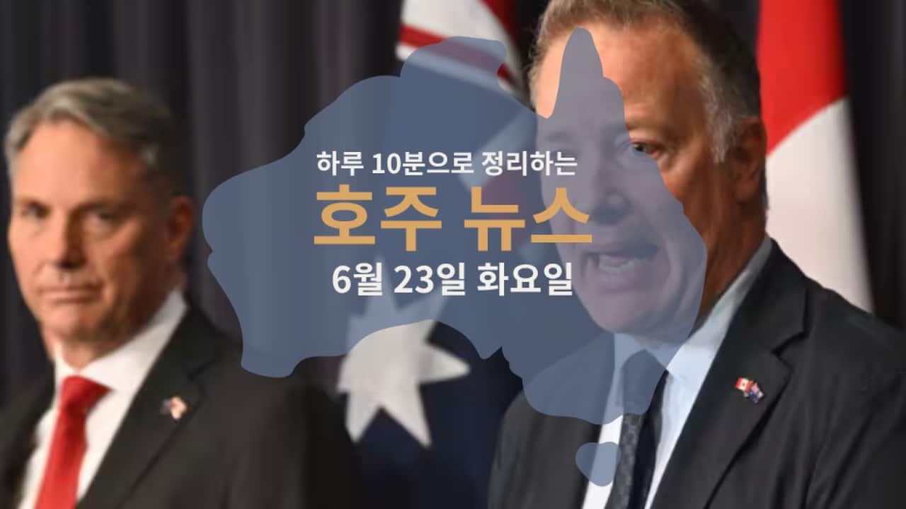Daily News (4).png