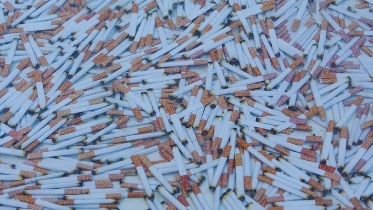 219,000 Cigarettes Cover Martin Place To Raise Awareness