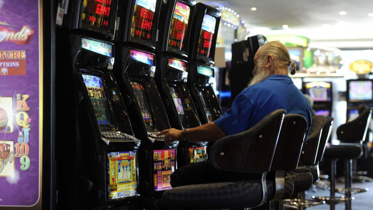 TONY ABBOTT BUSINESS VISIT