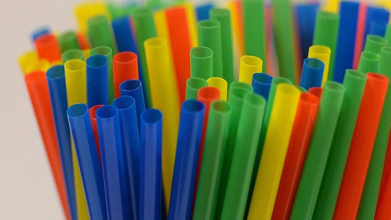Plastic straw ban