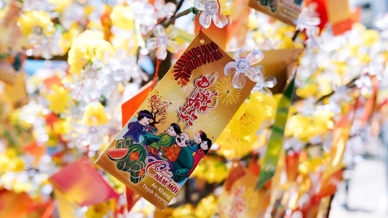 Image for read more article 'READ MORE'