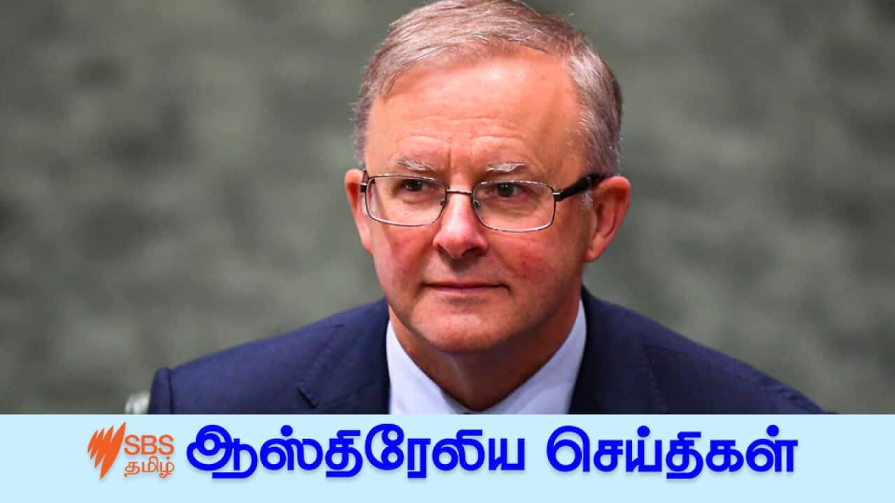 Opposition Leader Anthony Albanese