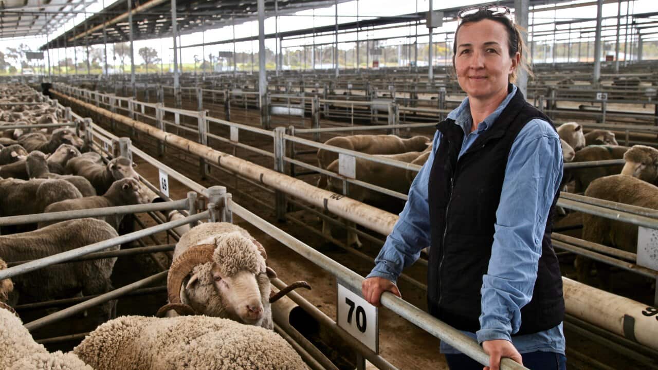 Bindi Murray is a second-generation sheep farmer. She says shocking footage had forced the industry to improve.
