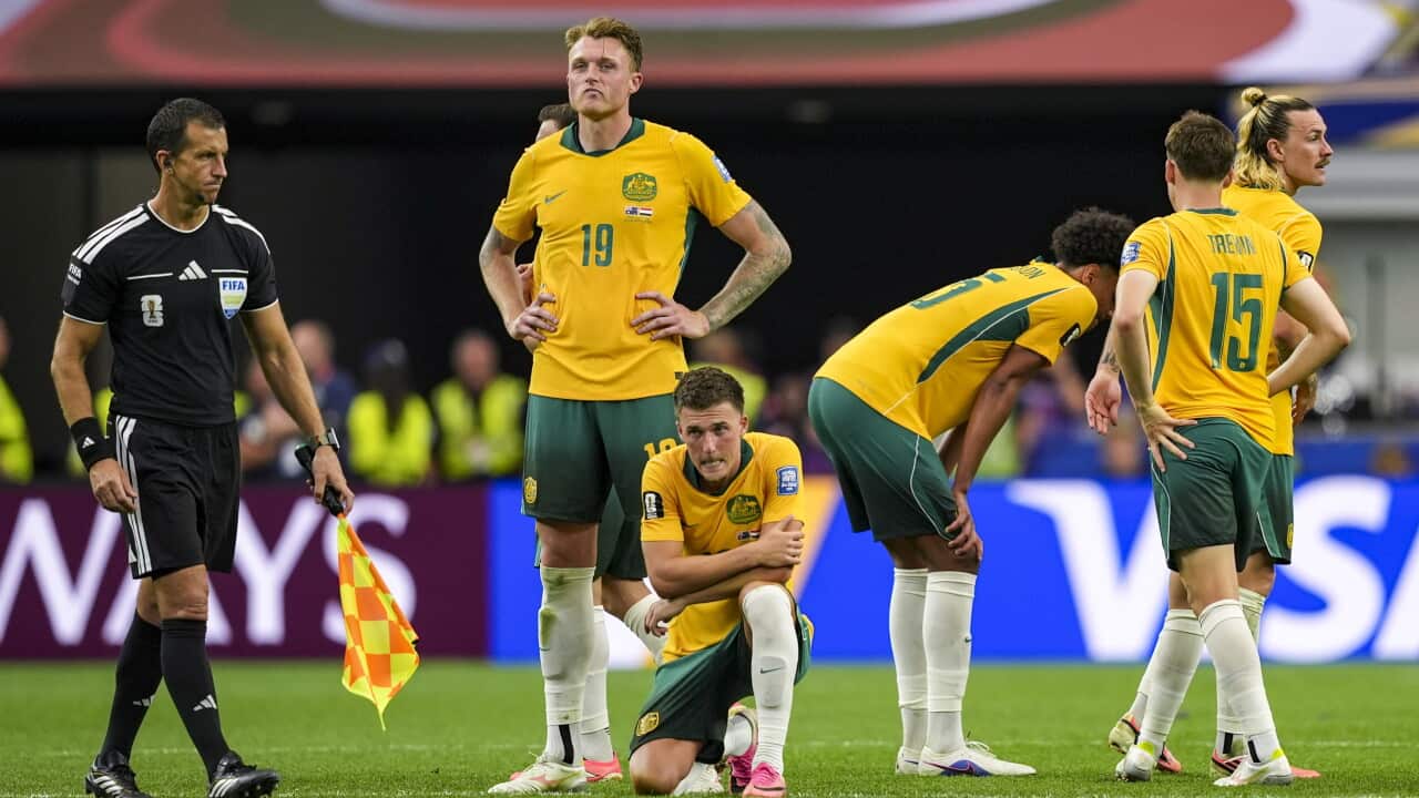 World Cup Daily Australia Egypt