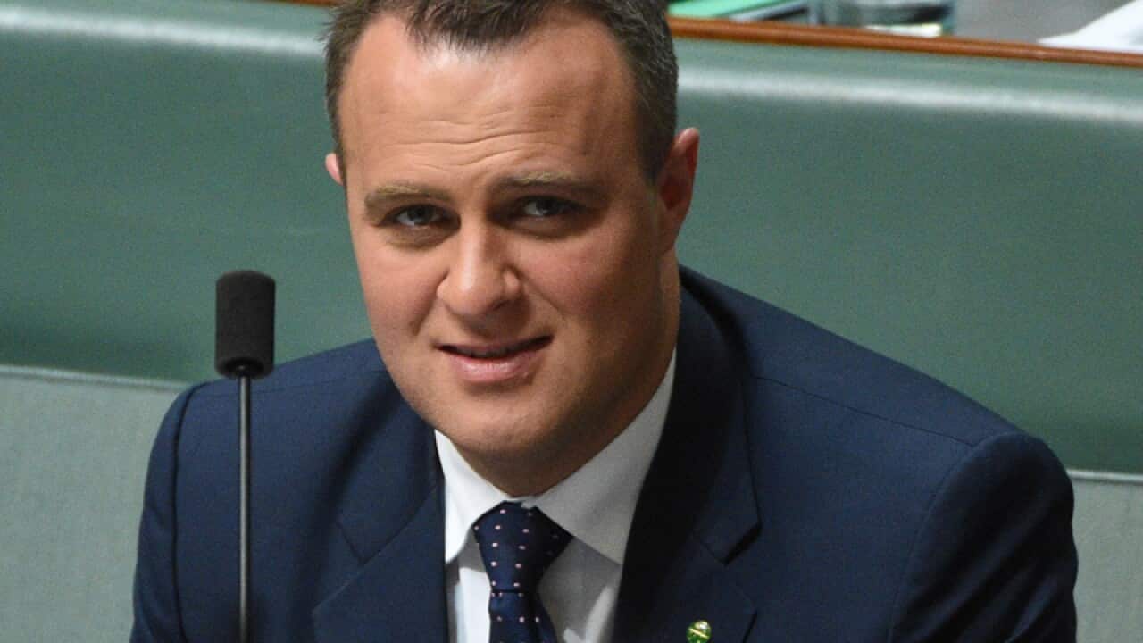 Liberal MP Tim Wilson