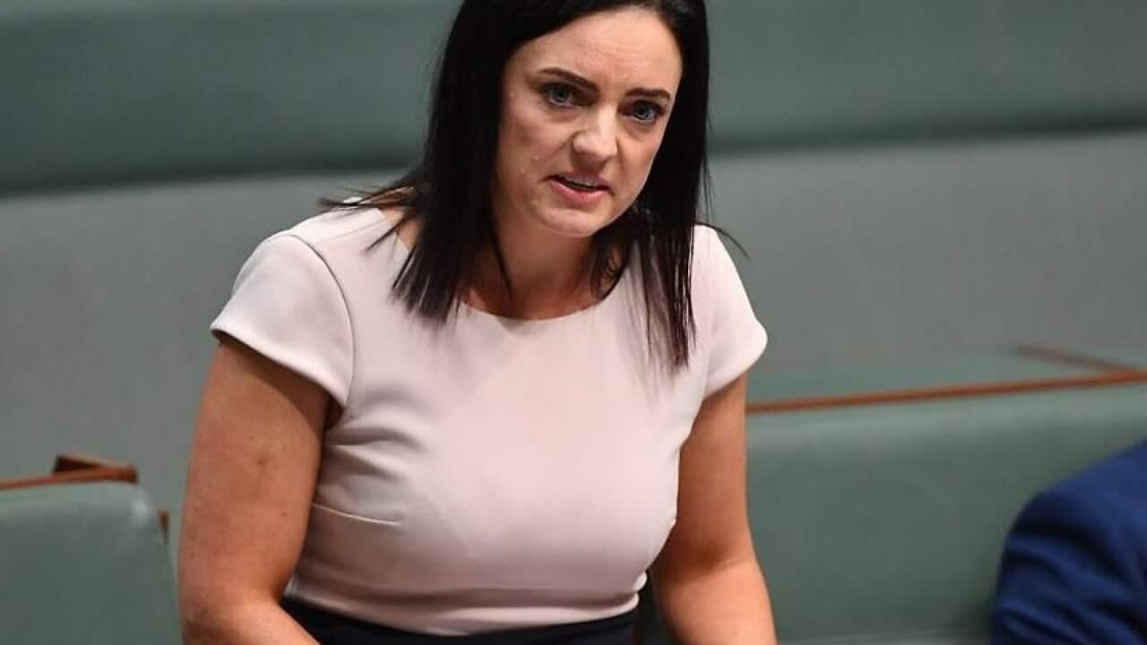 Diane Beamer will replace Emma Husar as the ALP candidate in the NSW federal seat of Lindsay. (AAP)