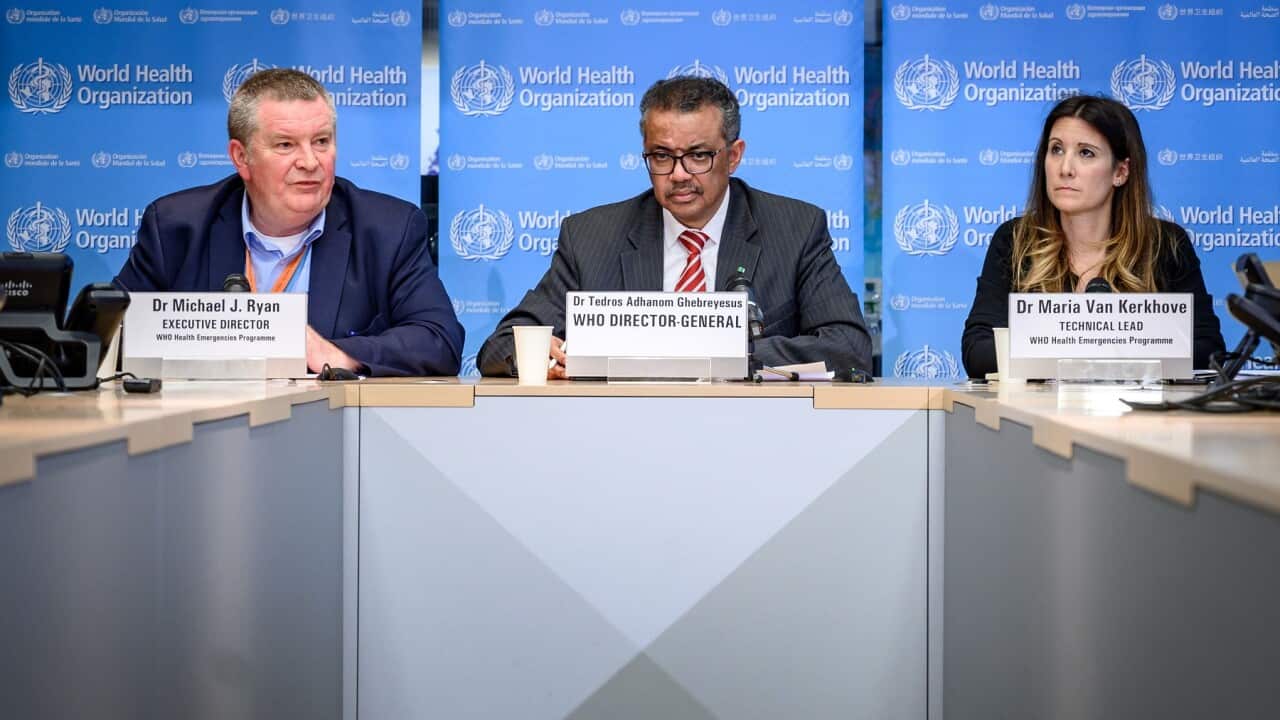 Doctors Mike Ryan, Tedros Ghebreyesus and Maria van Kerkhove at a WHO media briefingg van Kerkhove at a WHO media briefing