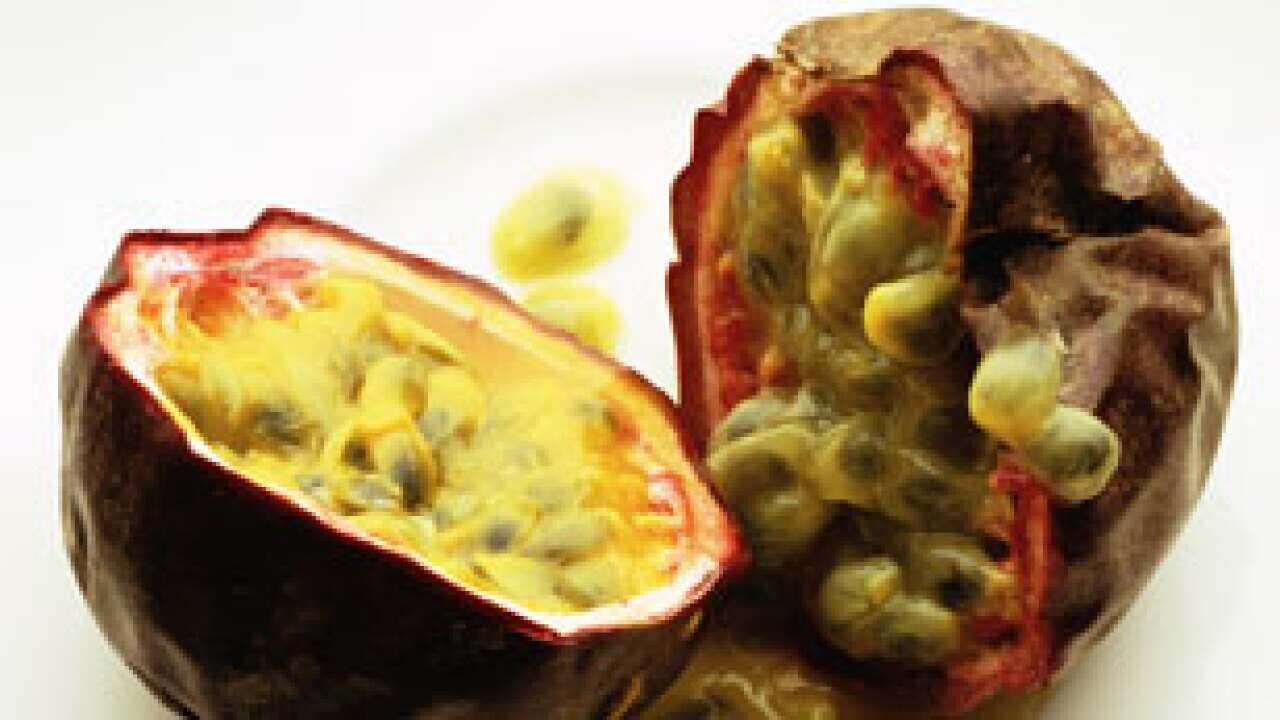 passionfruit_479141730
