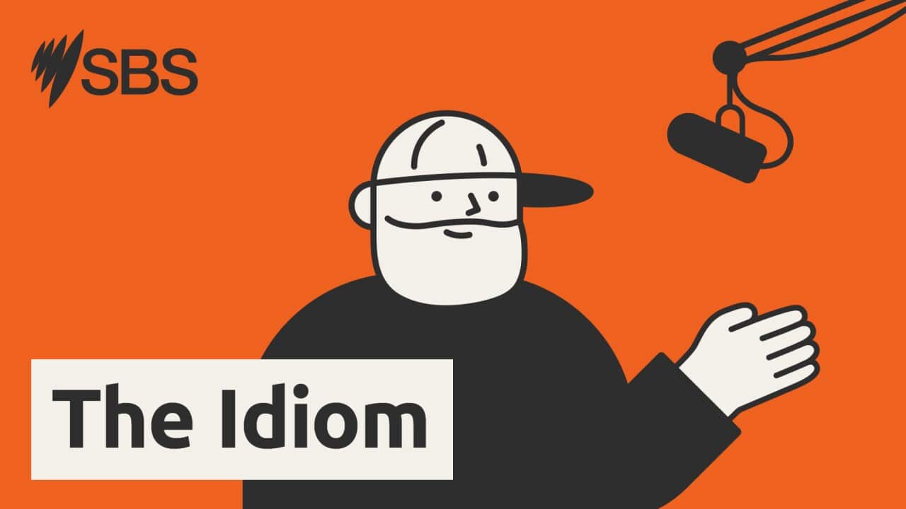SBS_The-Idiom_1800x1013px-LTR.jpg
