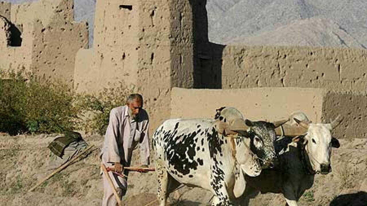 afghanistan_nangarhar_B_1704_821446845