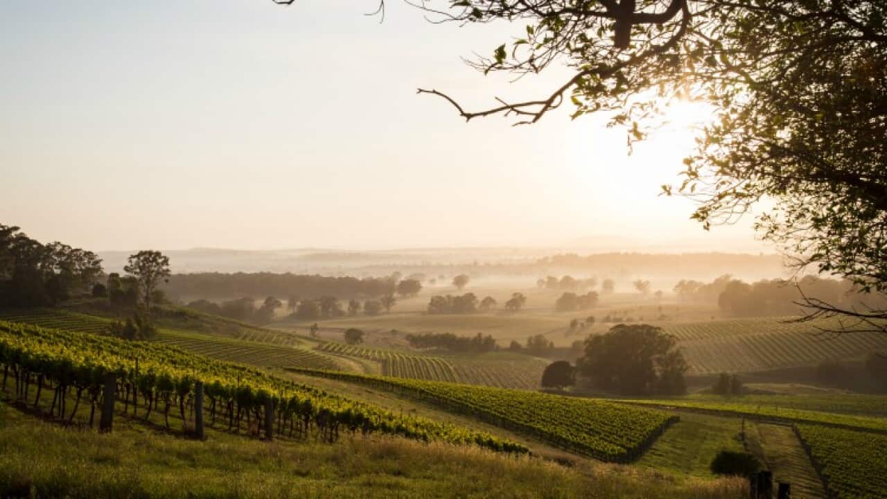 Image for read more article 'READ MORE'