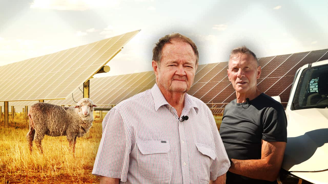 A stylised image of two men in the foreground, with the one on the right leaning against a white ute. There's a sheep at a solar farm in the background.