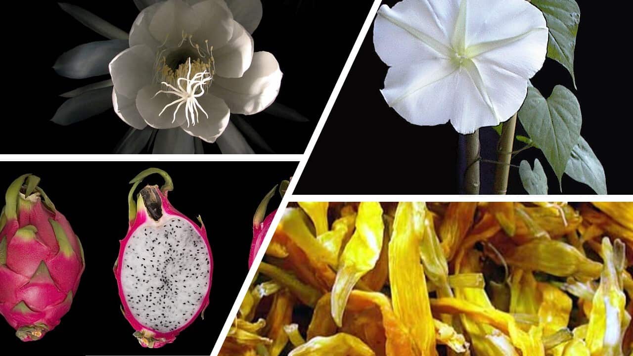 Image for read more article '更多內容'