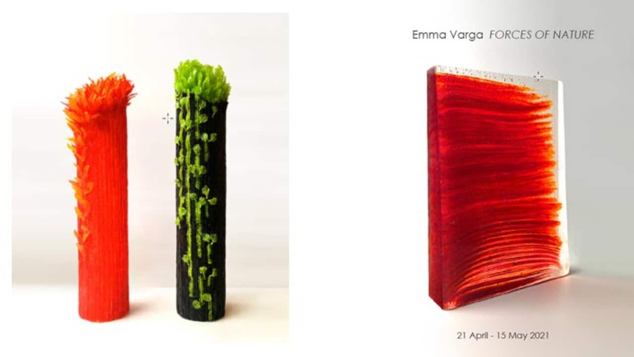 emma varga forses of nature