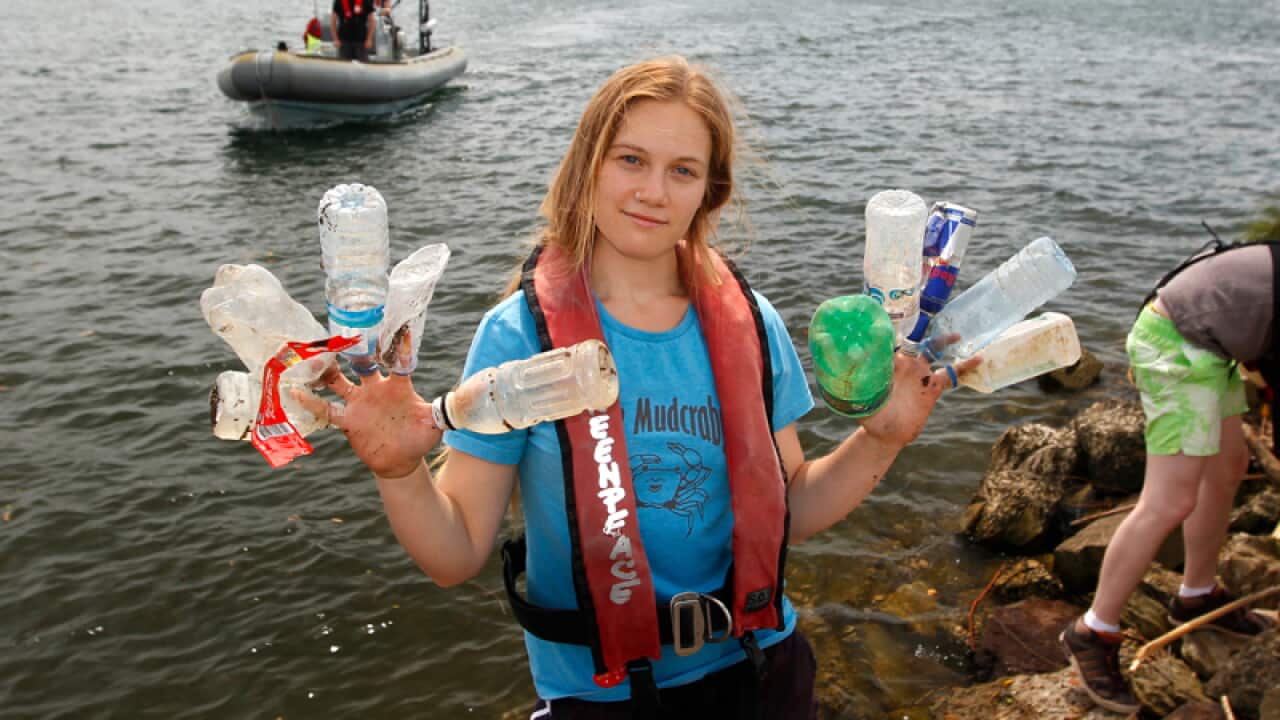 Greenpeace volunteers at Sydney's Botany Bay.