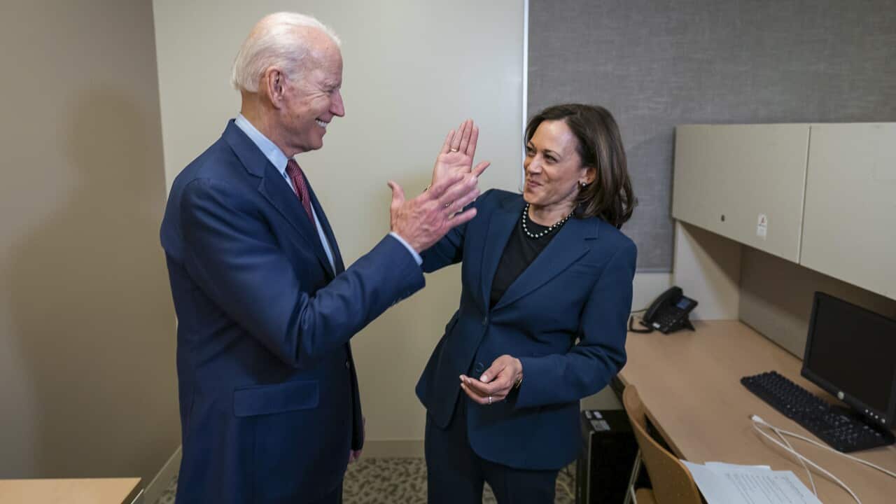 Women make up the majority of staffers on Joe Biden's transition team, with almost half of all workers people of colour.