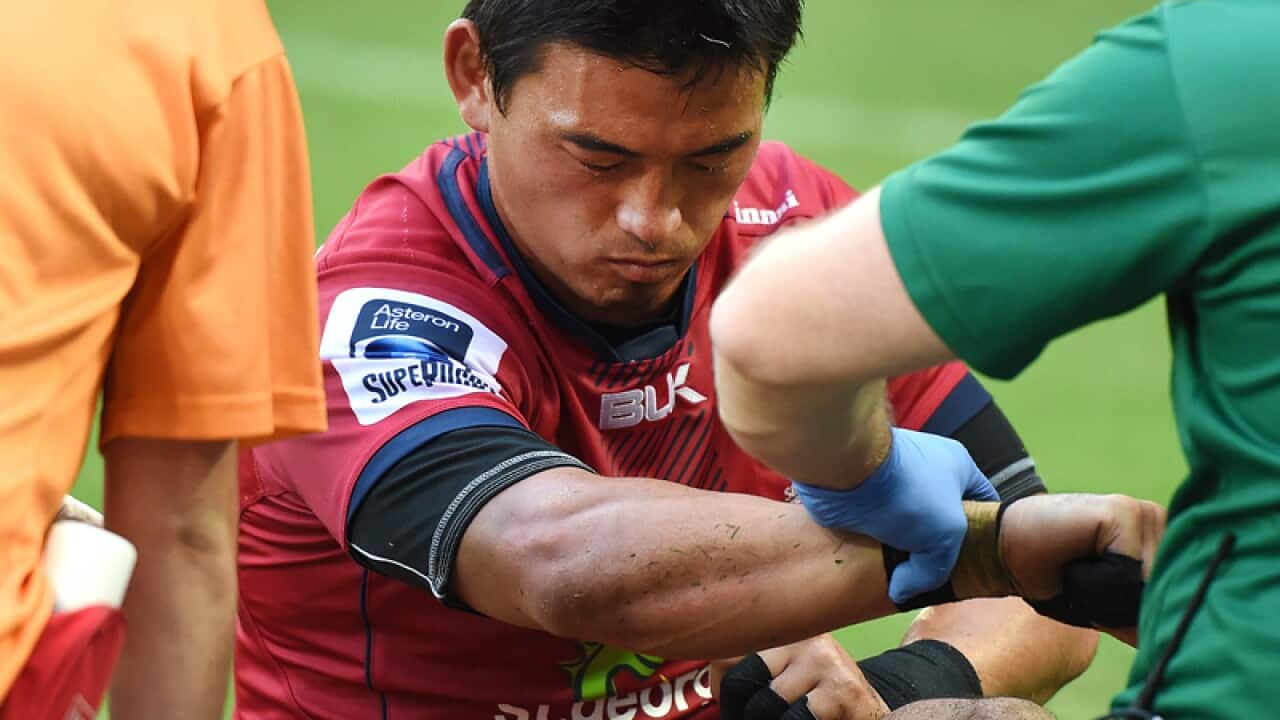Ayumu Goromaru of the Queensland Reds