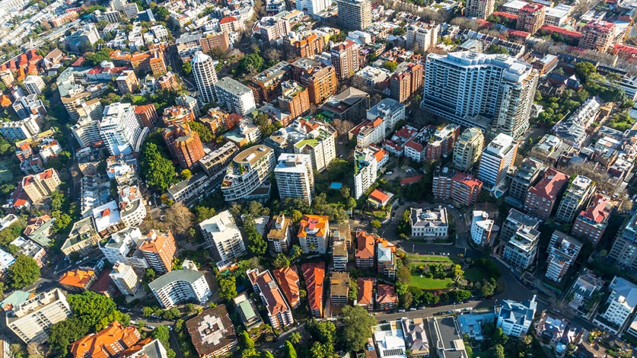 Sydney suburb from the air