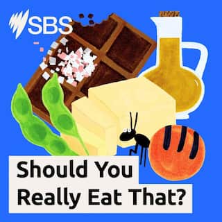 Should You Really Eat That Under 500kb.jpg