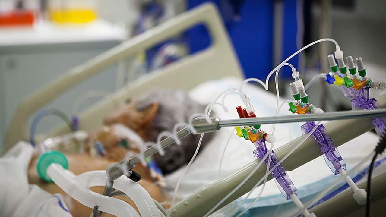 Researchers are giving religious leaders psychedelic drugs in the interest of science