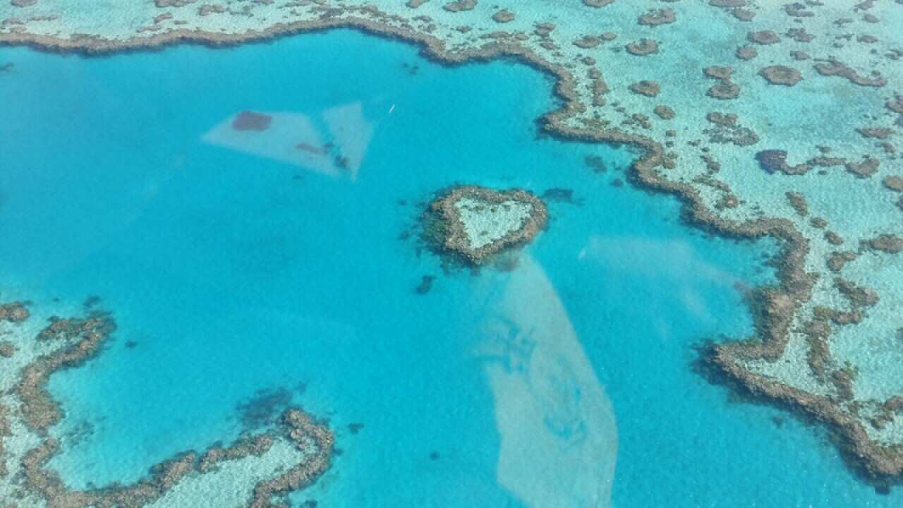 A view of the Great Barrier Reef