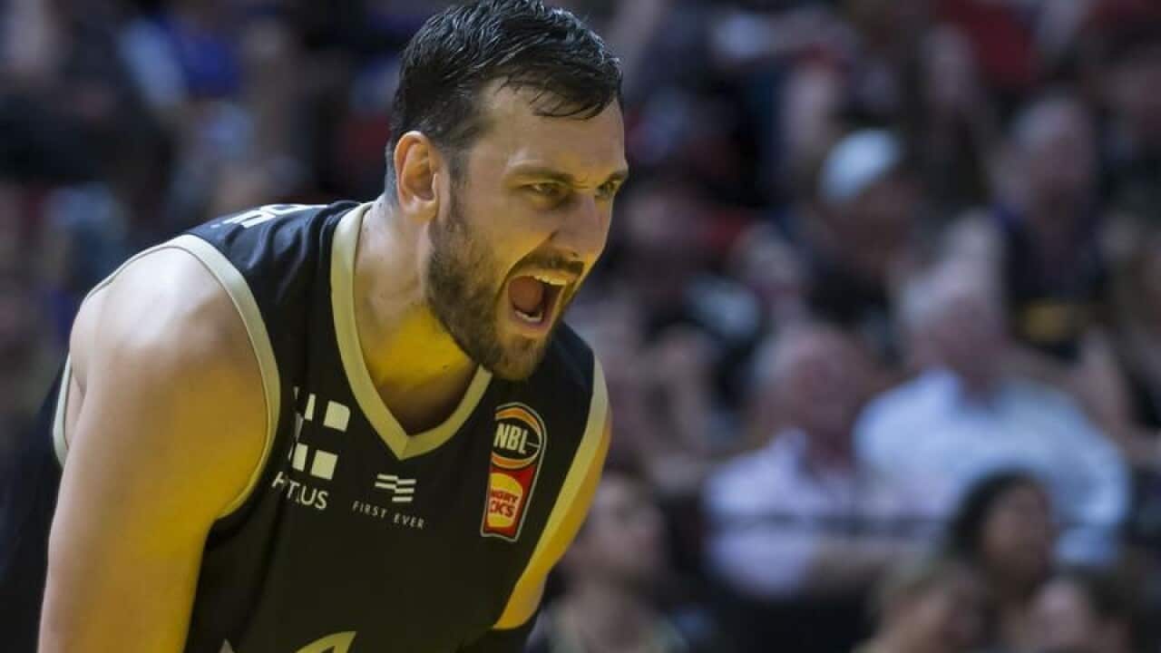 NBL KINGS UNITED BOGUT