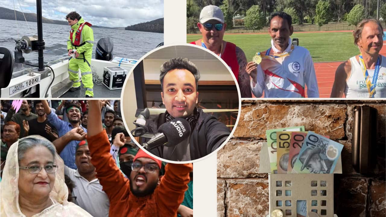 Image for read more article 'More like this:'