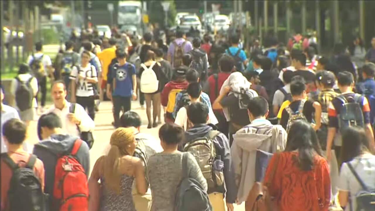 Image for read more article 'READ MORE'