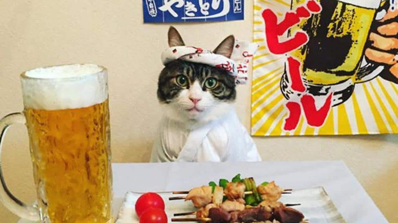 Image for read more article ''