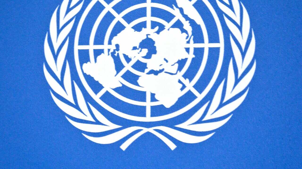 U.N. logo detail from a press conference background at the United Nations headquarters, Tuesday, Sept. 3, 2013. (AP Photo/Bebeto Matthews)
