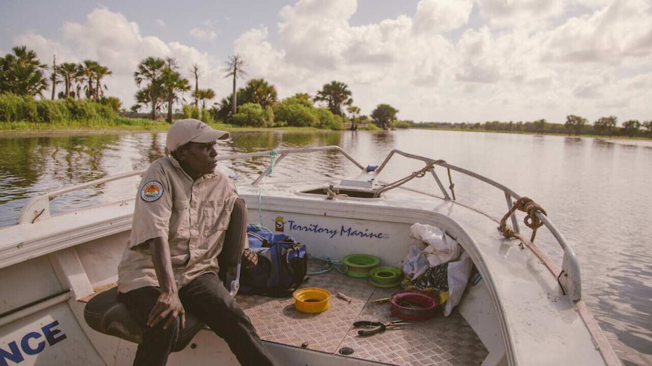 Arafura Swamp Ranger