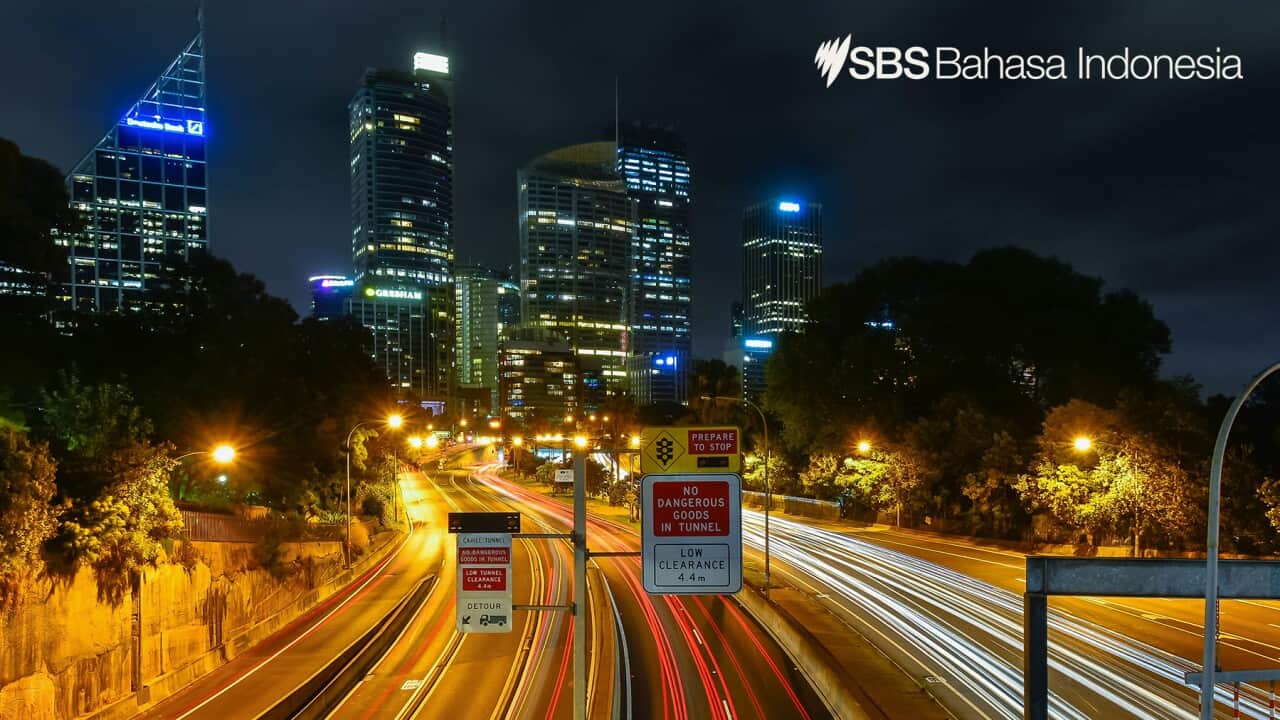 City Light - SBS Indonesian