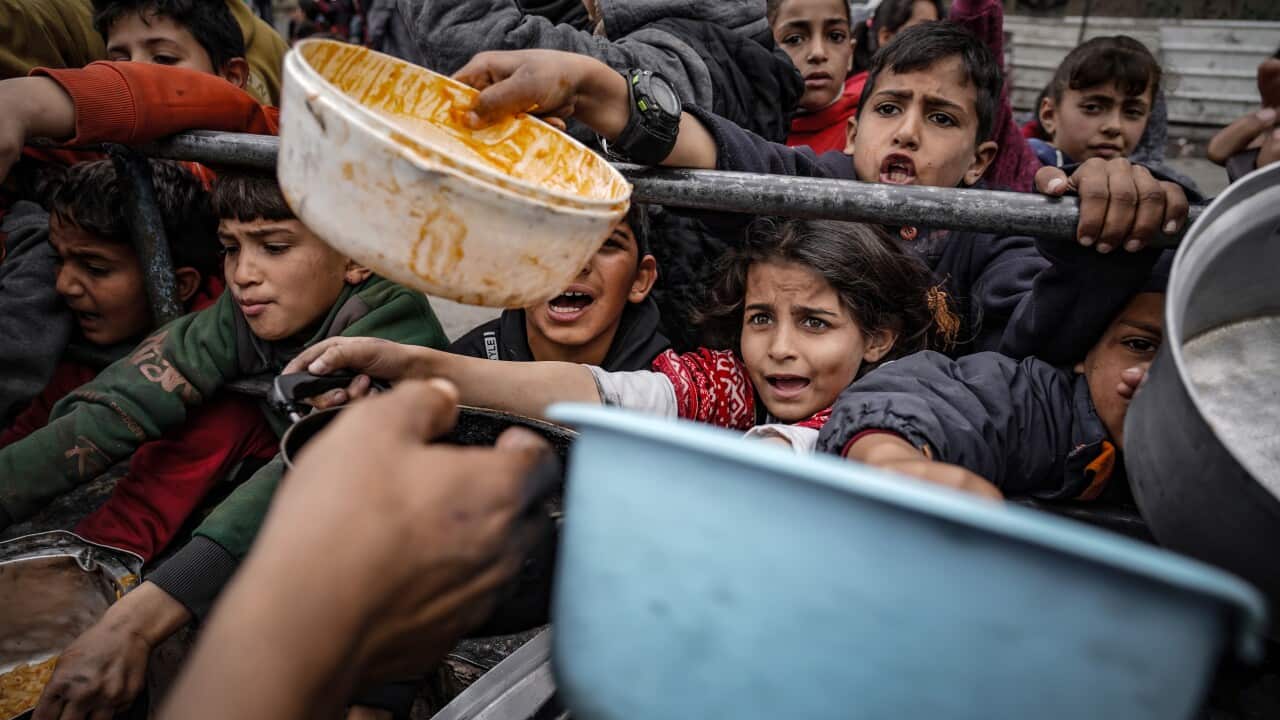 Children fighting to get food rations