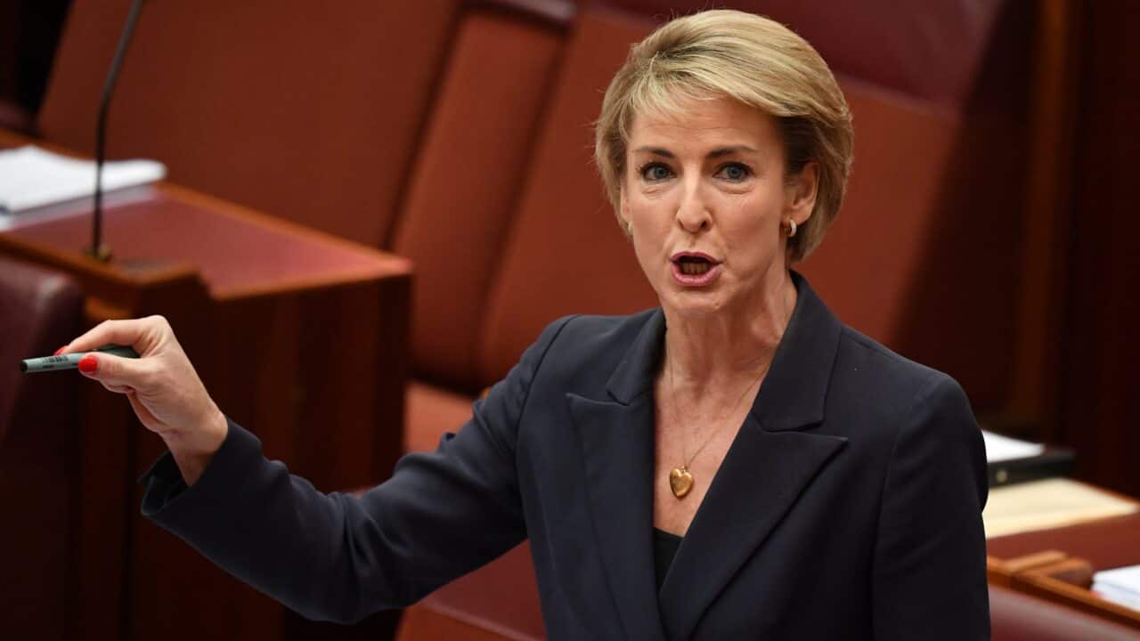 Minister for Employment Michaelia Cash during debate in the Senate chamber at Parliament House in Canberra on Thursday.