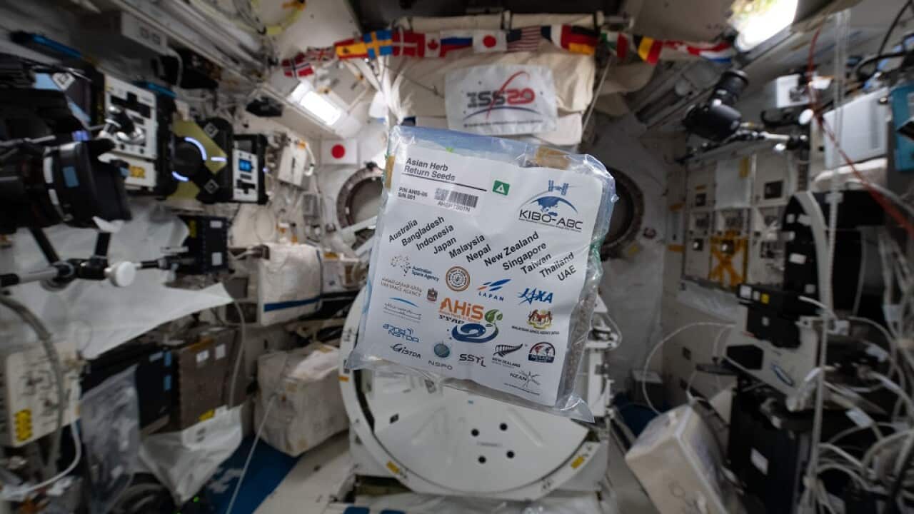 Image for read more article 'READ MORE'