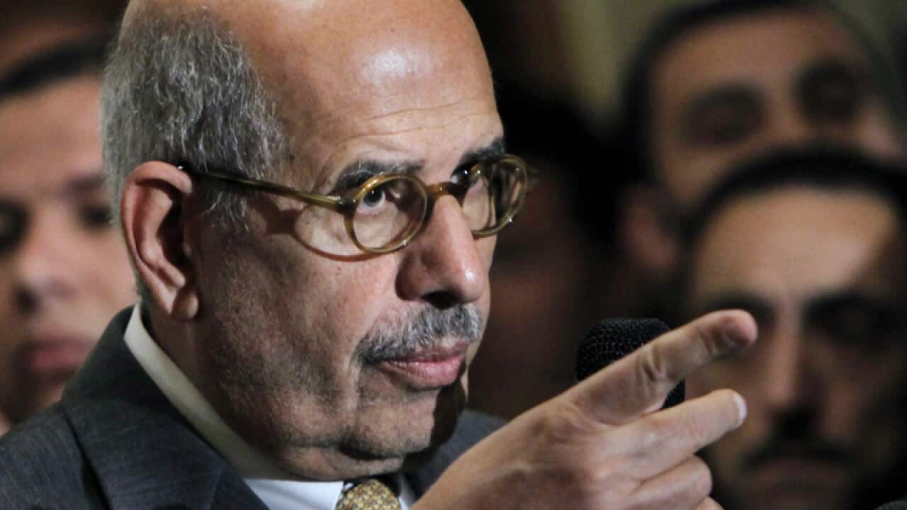 Egypt's ElBaradei calls for talks