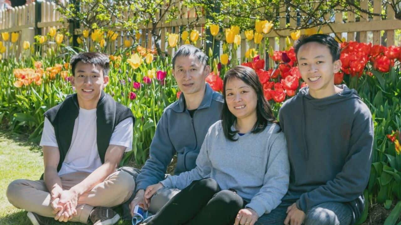 Image for read more article ''