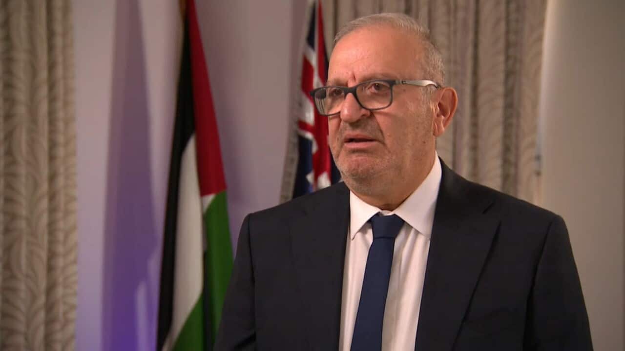 Izzat Abdulhadi speaking to Anna Henderson (SBS).jpg