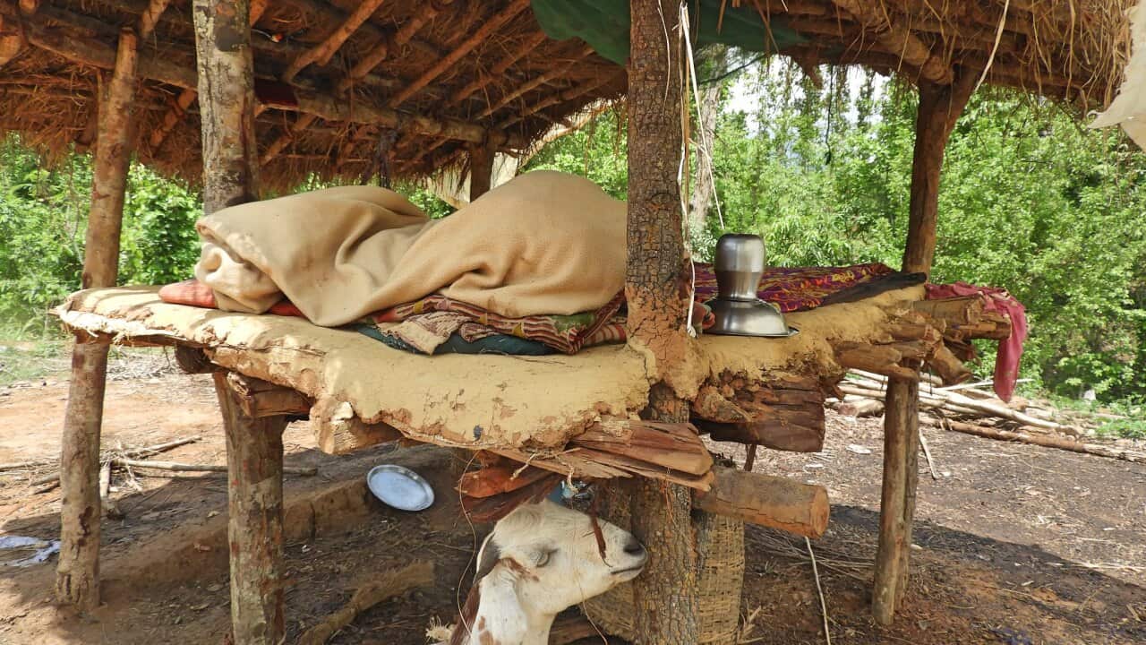 Image for read more article 'READ MORE'