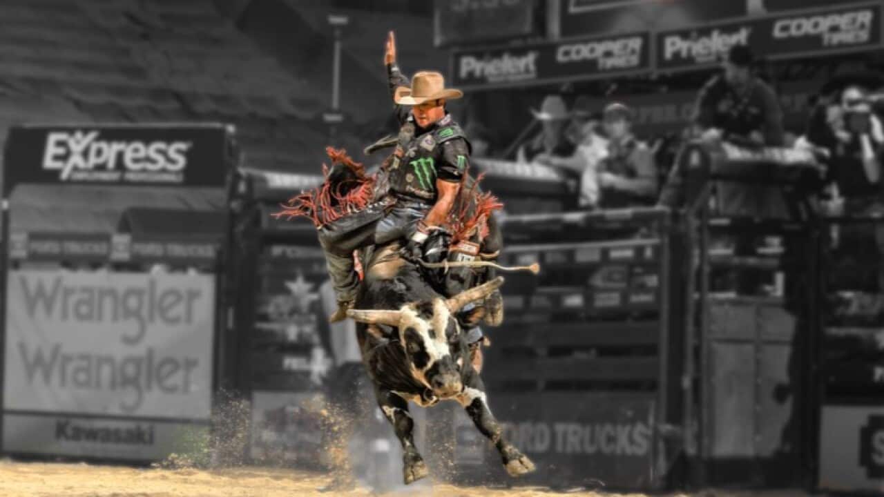 Bull rider