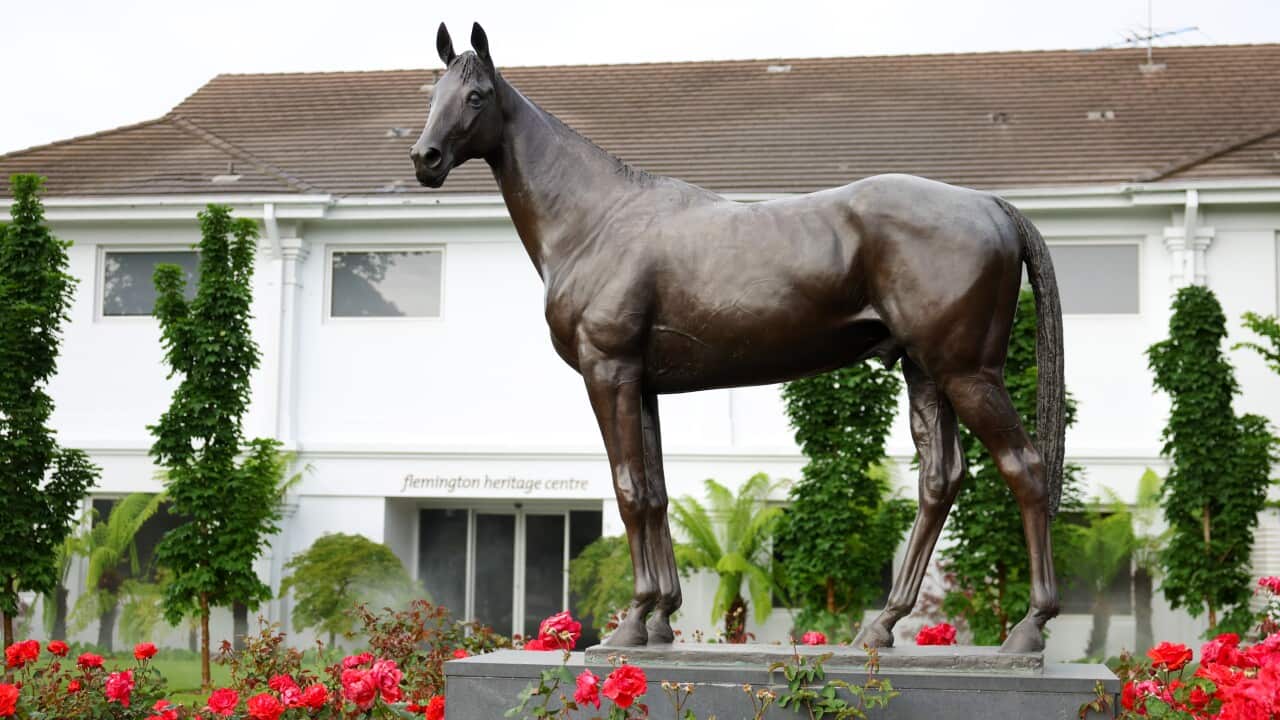 Image for read more article 'READ MORE'