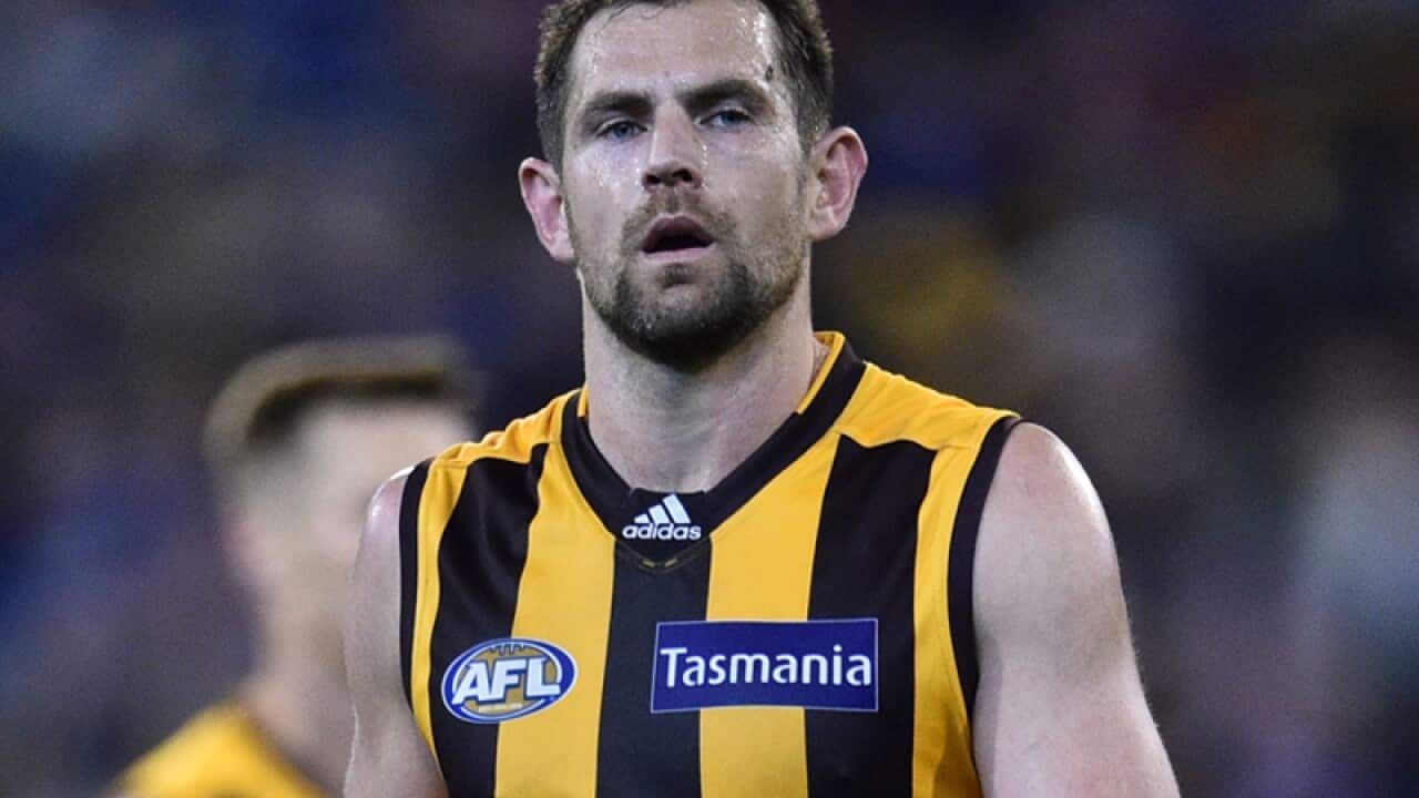 Luke Hodge of the Hawks