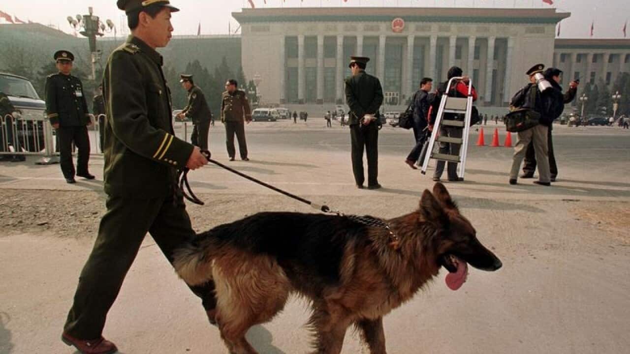 A Chinese police officer uses a sniffer dog